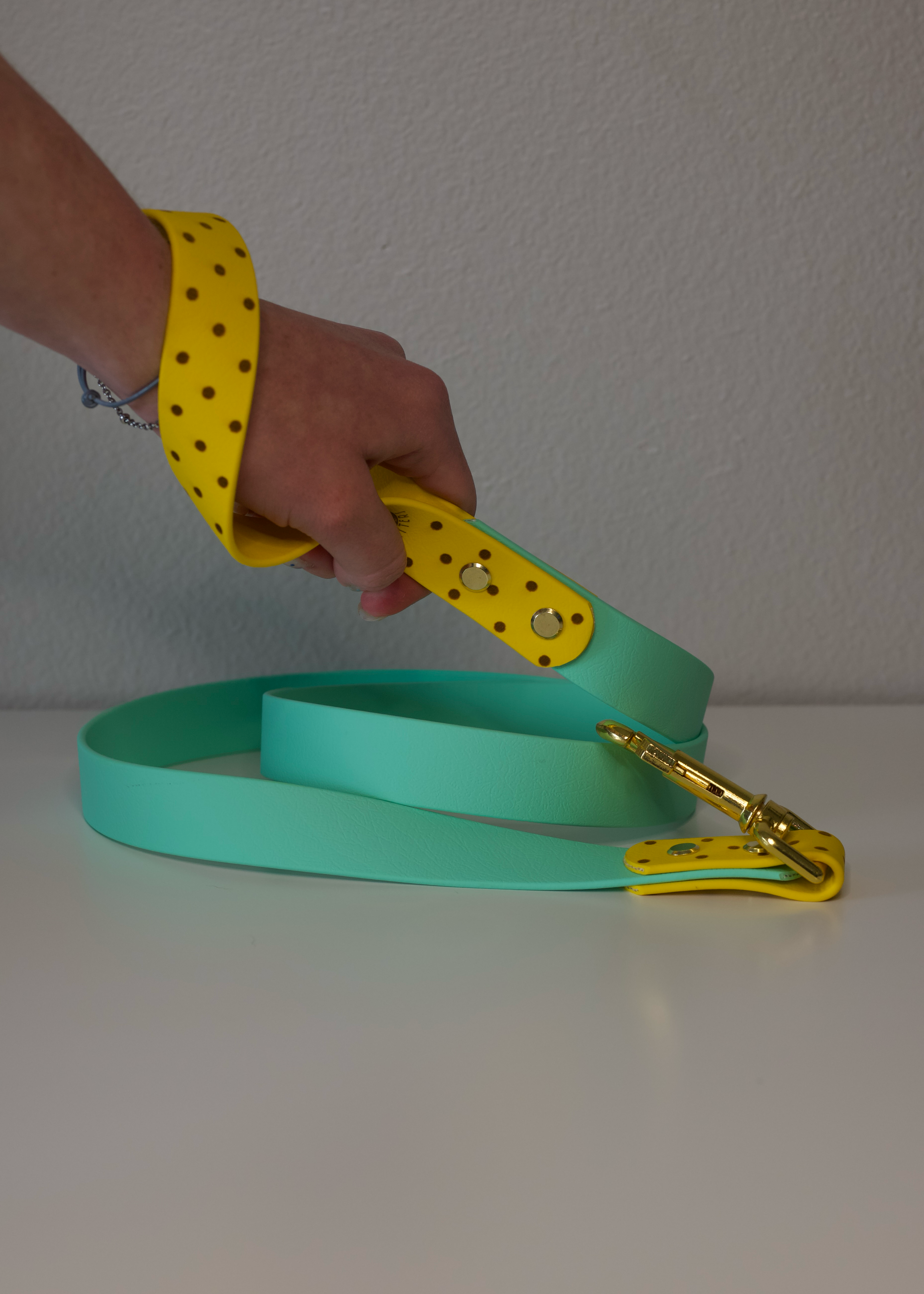 Basics Duo Leash