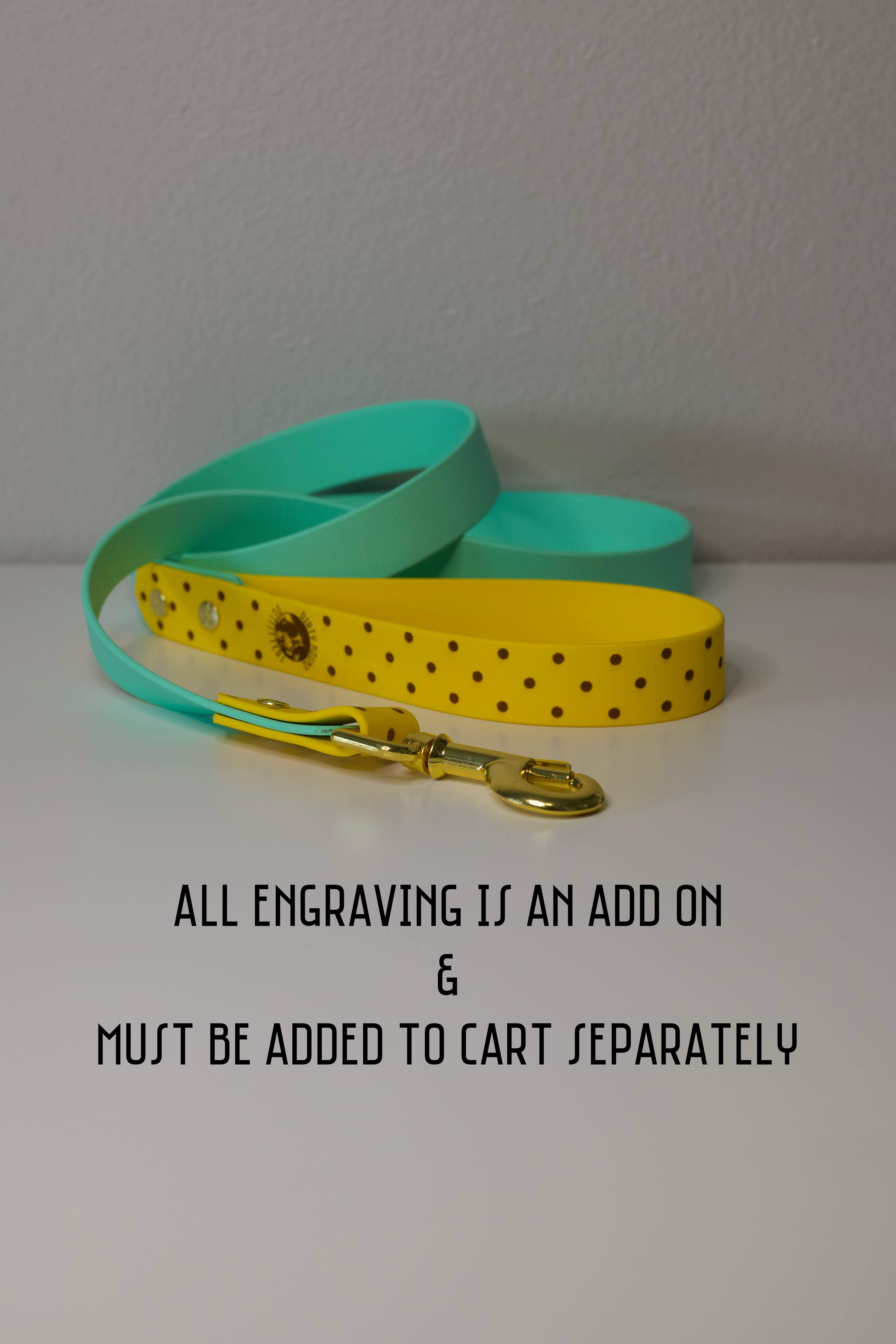 Basics Duo Leash